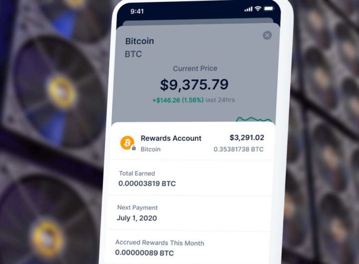 fake bitcoin wallet screenshot